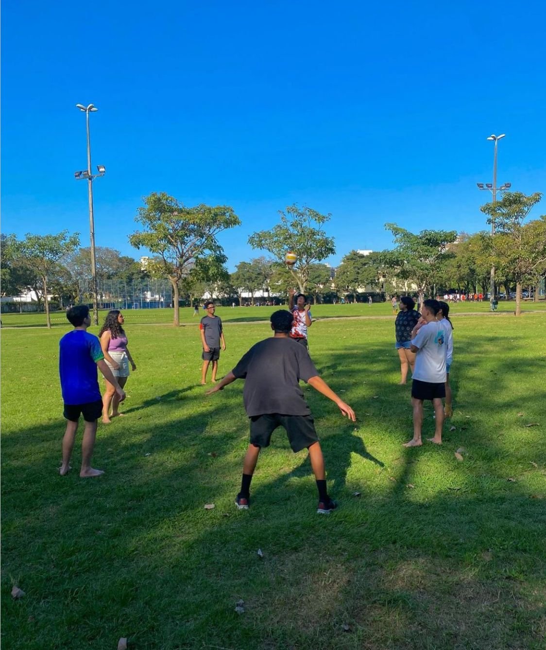 Imagem do WhatsApp de 2024-11-21 à(s) 15.16.31_e0f6db4e